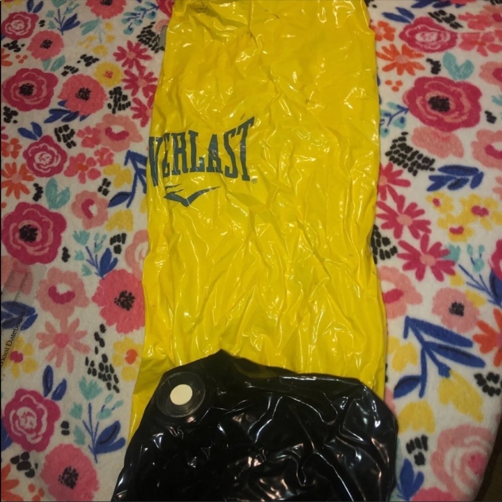 EVERLAST punching Bag !